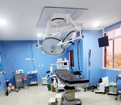 Kidney Success